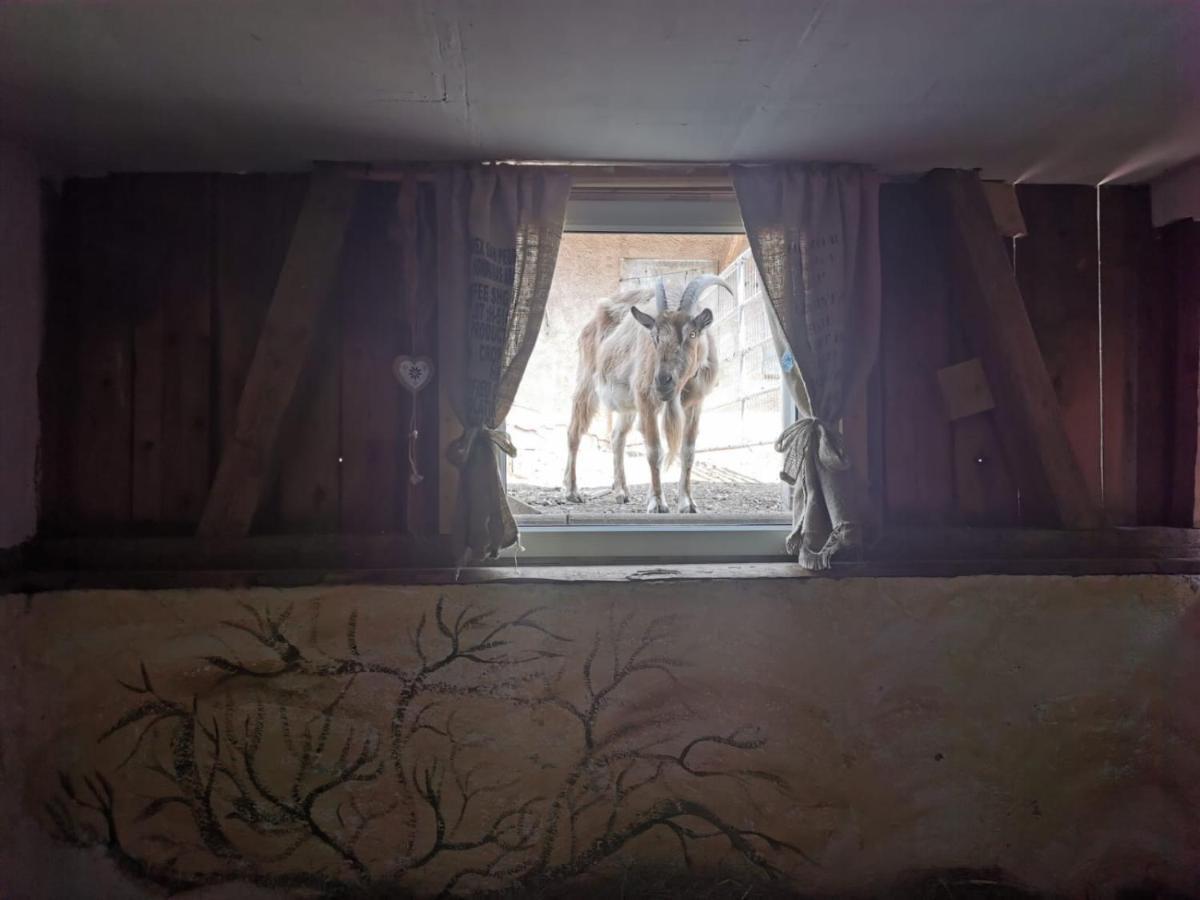 Heuhotel Beim GnadenhofMurrhardt エクステリア 写真